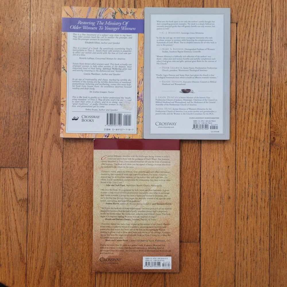 Christian Women Ministry Spiritual Mothering Feminine Appeal Book Lot Gift‎